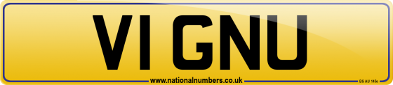 V1 GNU