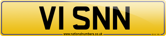 V1 SNN