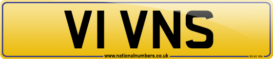 V1 VNS
