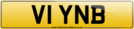 V1 YNB