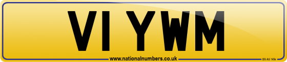 V1 YWM