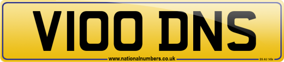 V100 DNS