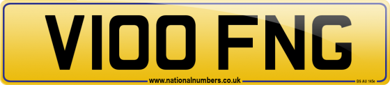 V100 FNG