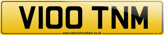 V100 TNM