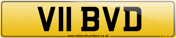 V11 BVD