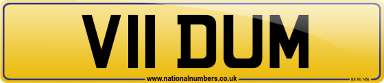 V11 DUM