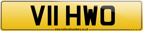 V11 HWO