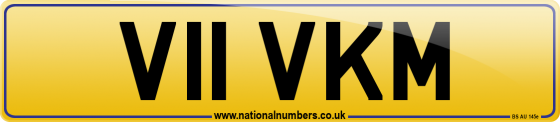 V11 VKM