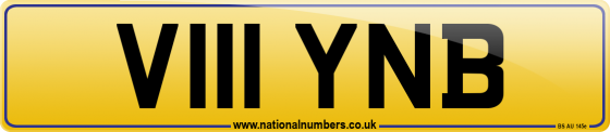 V111 YNB