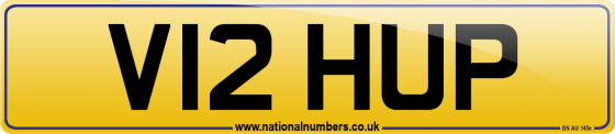 V12 HUP