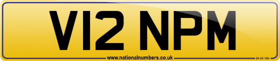V12 NPM