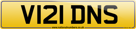 V121 DNS