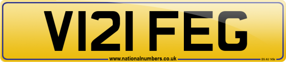 V121 FEG