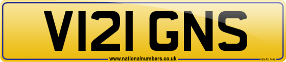 V121 GNS