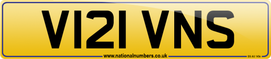 V121 VNS