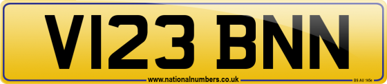 V123 BNN