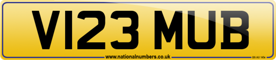 V123 MUB
