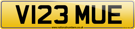 V123 MUE