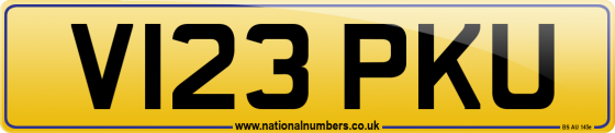 V123 PKU