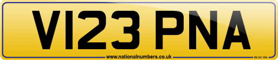 V123 PNA