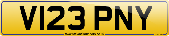 V123 PNY