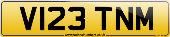 V123 TNM