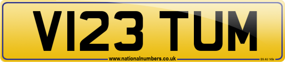 V123 TUM