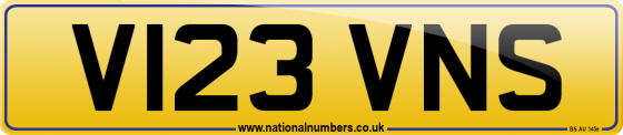 V123 VNS