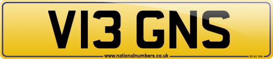 V13 GNS