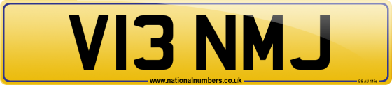 V13 NMJ