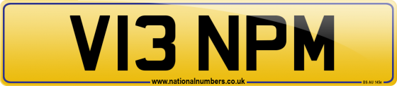 V13 NPM