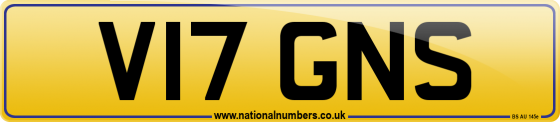 V17 GNS