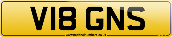V18 GNS