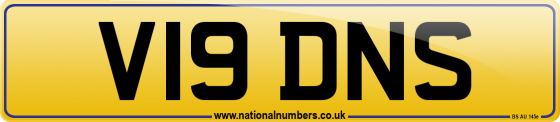 V19 DNS