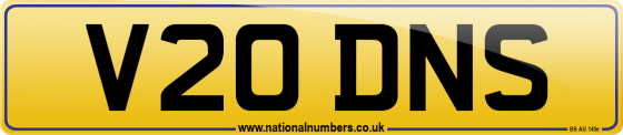 V20 DNS