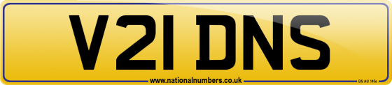 V21 DNS