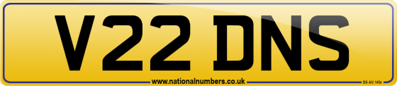 V22 DNS