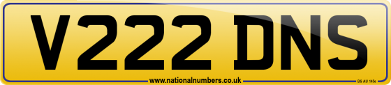 V222 DNS