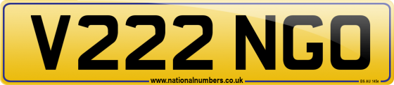 V222 NGO
