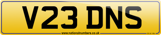 V23 DNS