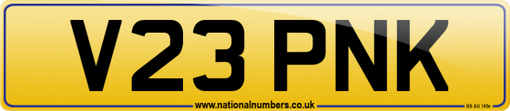 V23 PNK