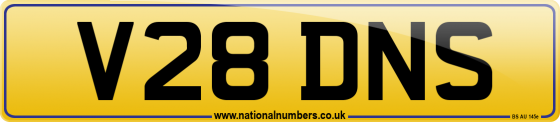 V28 DNS