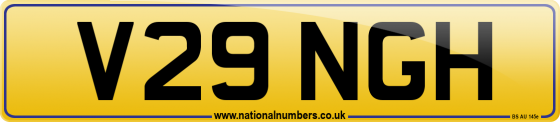 V29 NGH