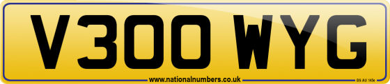 V300 WYG