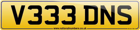 V333 DNS