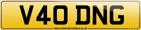 V40 DNG