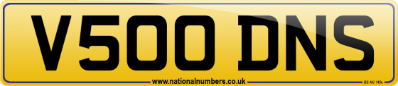 V500 DNS