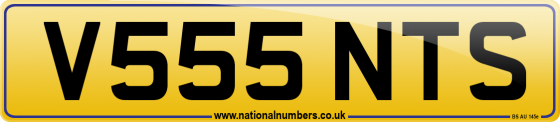 V555 NTS