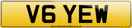 V6 YEW