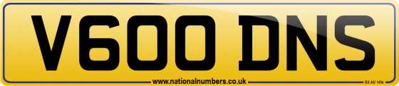 V600 DNS